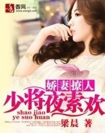 暴露娇妻给别人玩系列灯火夜未央（盲妻她看得见）