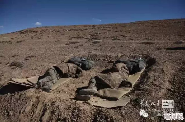 国产无人区一区二区三区指的是中国广袤无人的荒野区域，分为三个不同的地理环境和气候条件的区域