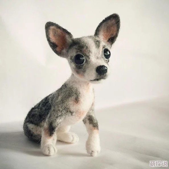 一小时人生游戏攻略：高效获取羊毛的详细方法与技巧解析