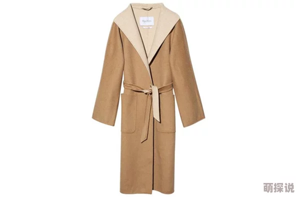 一小时人生游戏攻略：高效获取羊毛的详细方法与技巧解析