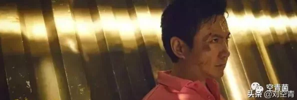 国产黄毛片指的是中国本土制作的以黄色羽毛为主题或元素的电影作品