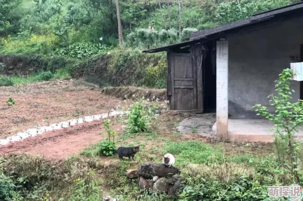 野花2019最新社区免费提供丰富的自然景观和生态体验