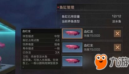 《明日之后》每日必做任务汇总与宝箱位置全攻略,助你高效升级探险! 《明日之后》每日必做任务汇总与宝箱位置全攻略,助你高效升级探险!