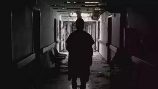 欧美午夜在线视频昔如雪花