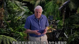 51吃瓜爆料大卫·艾登堡：大自然的声音