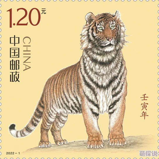 免费观看四虎精品国产永久提供丰富多样的国内优质视频资源