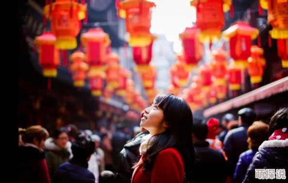 在线观看国产精品入口年味