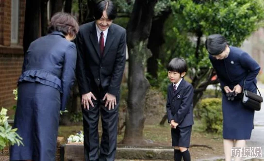 日韩欧美区指的是日本、韩国以及欧美国家的影视作品和文化产品的分类区域