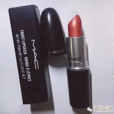 穿越到以sp为主的世界学校金属口红