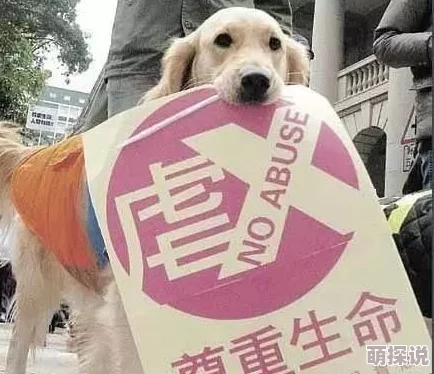 男人ji进入女人鸡免费视频这是一个关于动物行为的教育性视频展示