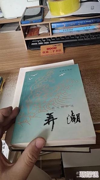 弄潮(全文) 小说九命刑警
