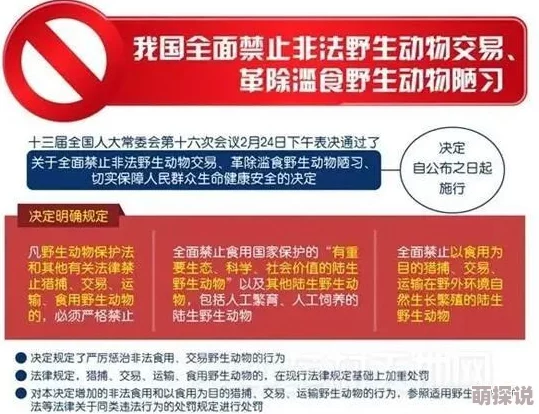 18禁黄网站禁片免费观看自慰此类内容可能涉及法律风险和道德问题，请谨慎浏览