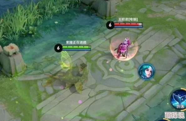 王者荣耀深度解析:庄周出装与打法新策略,鱼的世界奥秘你真的未必懂! 王者荣耀深度解析:庄周出装与打法新策略,鱼的世界奥秘你真的未必懂!