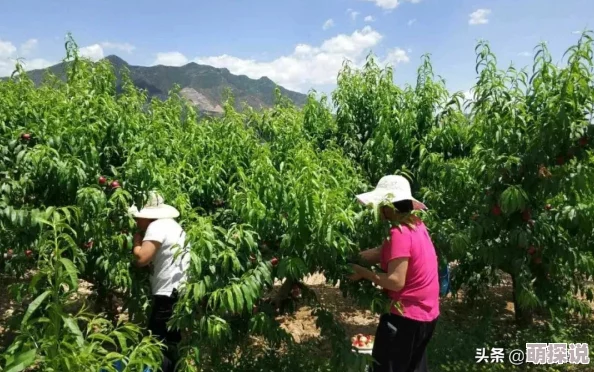 穿越火线手游：烈日山庄新打法揭秘，守点游走策略巧妙融合前瞻解析