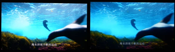 日本免费的高清毛片视频提供多种类型和高画质的成人影片资源