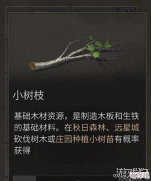 《明日之后》游戏攻略：小树枝高效获取方法全面介绍及技巧分享