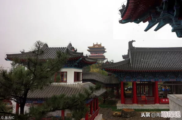 亚洲免费区提供多种免费服务和资源的开放区域 亚洲免费区提供多种免费服务和资源的开放区域