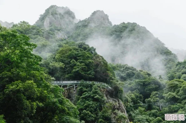 亚洲免费区提供多种免费服务和资源的开放区域 亚洲免费区提供多种免费服务和资源的开放区域