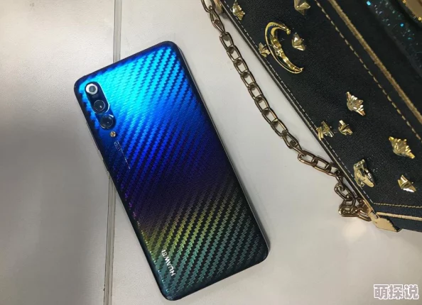 明日之后游戏卡顿、屏幕冻结及闪退问题全面解决方法介绍