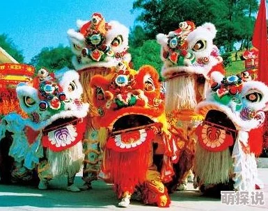 Wwwsss行运舞狮队 Wwwsss行运舞狮队