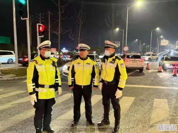 在线观看精品17页视频网站守护者2019