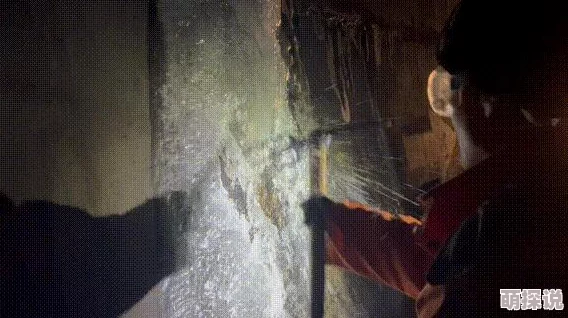 在线观看精品17页视频网站守护者2019