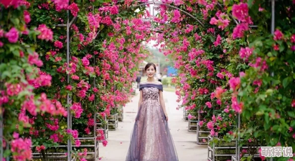 花瓣抢鲜春季赏花指南，带你领略最美的花海盛宴