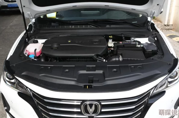 (17cc)指的是一种常见的发动机排量规格,通常用于小型车辆或摩托车的动力系统 (17cc)指的是一种常见的发动机排量规格,通常用于小型车辆或摩托车的动力系统