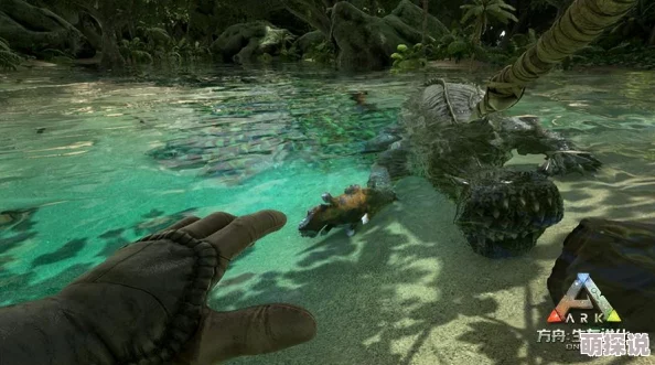 方舟生存进化高效获取黑珍珠攻略：速刷技巧与获取途径详解