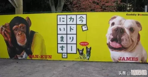 衣锦还乡这是一种荣归故里的美好愿望，值得钦佩和学习