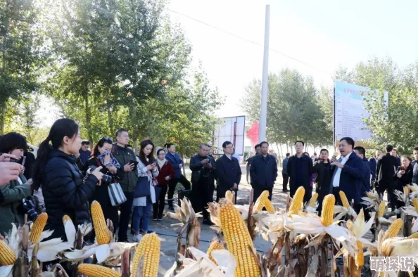 黑土脚法娴熟指的是在松软的黑土地上行走自如的技巧和经验