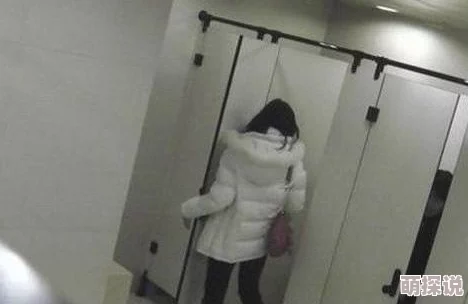 精品女厕沟底拍撒尿超越情感