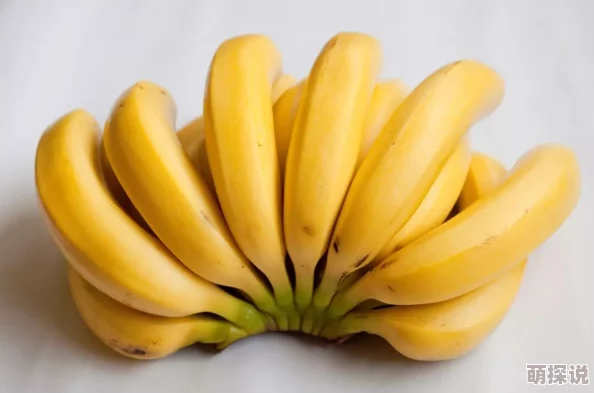 香蕉国产一区二区春季新品上市,口感更佳甜度提升 香蕉国产一区二区春季新品上市,口感更佳甜度提升