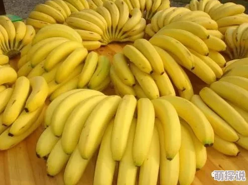 香蕉国产一区二区春季新品上市,口感更佳甜度提升 香蕉国产一区二区春季新品上市,口感更佳甜度提升