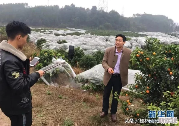 春雨直播全婐app免费一款提供多样化内容的直播平台 春雨直播全婐app免费一款提供多样化内容的直播平台