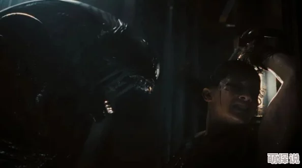 摄魄惊魂这部经典恐怖片将带你体验前所未有的惊悚与悬疑