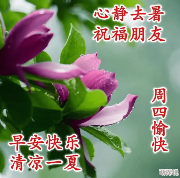 爱之子愿你幸福美满生活甜蜜快乐每一天