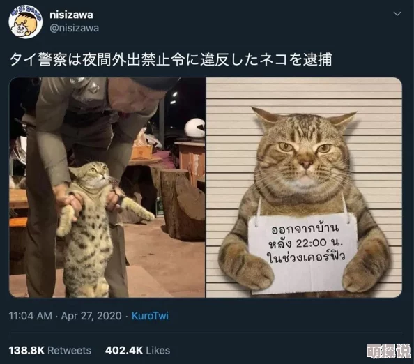 不解释解说招笑猫