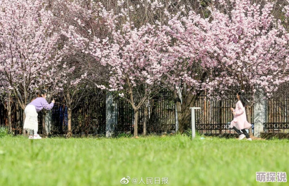 性8se春暖花开旧版入口经典怀旧内容的访问通道