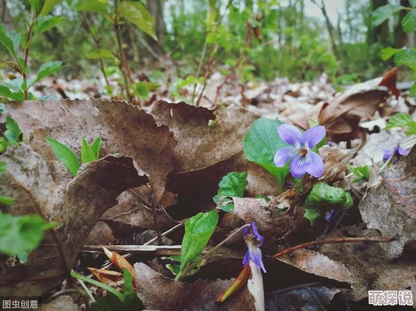 空虚时光这部电影通过细腻的镜头语言和深刻的人性探讨，带你体验一段独特的内心旅程