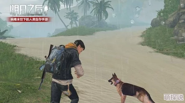 明日之后海岛地图生存挑战：全面攻略应对台风袭击危机策略