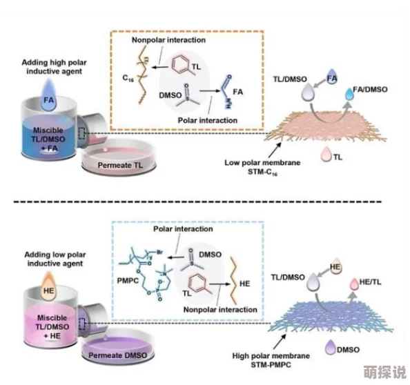 一小时人生游戏攻略：石油高效分离技巧揭秘，全面解析石油分离方法