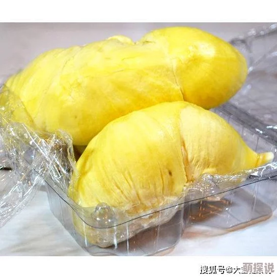 榴莲色斑让你流连忘返503最近发现了一种新品种的榴莲味道更浓郁