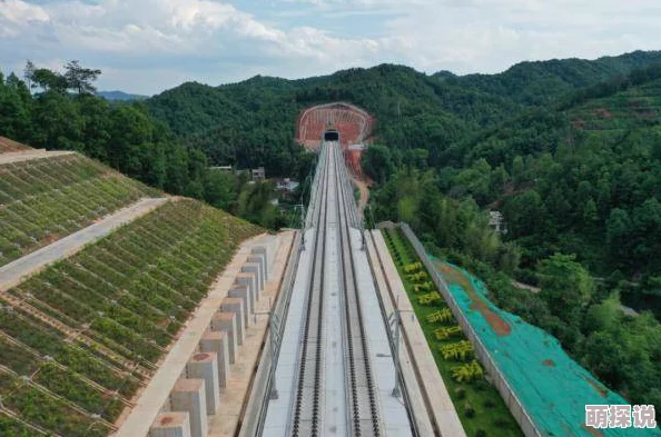 汤姆中转指的是通过中间人或平台进行交易或信息传递的过程，常用于隐私保护和安全交易