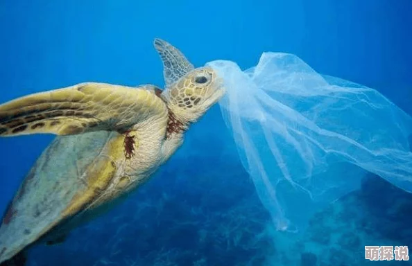 挺进美妇玉蚌深处近日，科学家发现了一种能在深海高压环境下生存的奇异生物