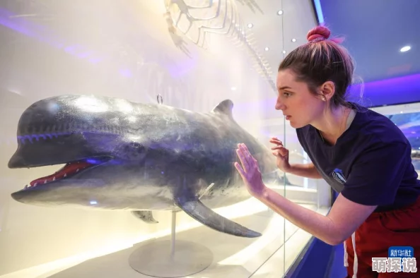 挺进美妇玉蚌深处近日，科学家发现了一种能在深海高压环境下生存的奇异生物