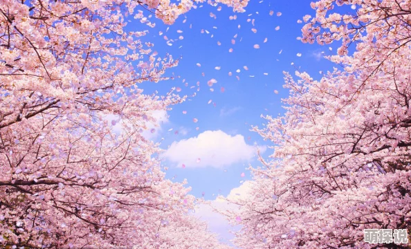 日韩欧美一区二区三区中文精品春季新片上映樱花盛开时节的浪漫爱情故事 日韩欧美一区二区三区中文精品春季新片上映樱花盛开时节的浪漫爱情故事