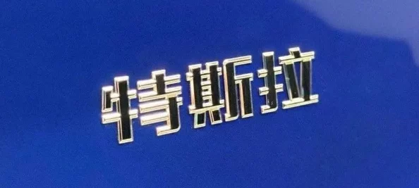 91啪国产在线春节期间推出特别版节目满足观众需求