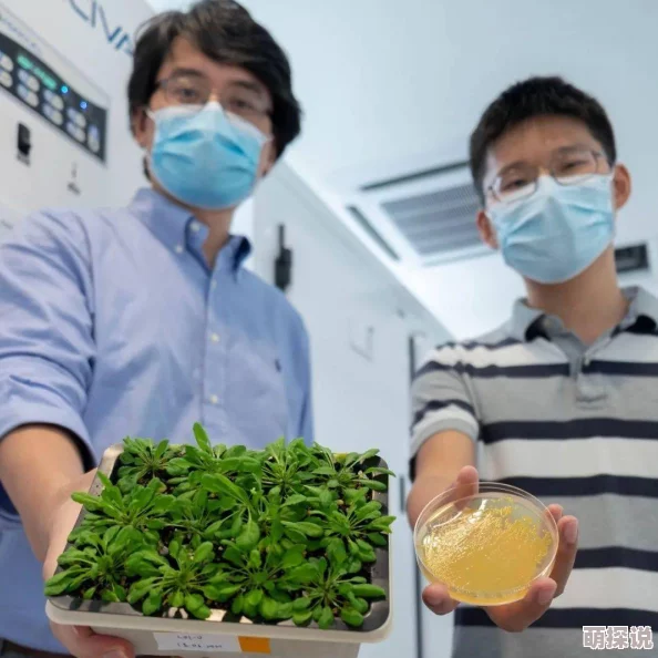 两男吮玩一女科学家发现新型细菌可降解塑料垃圾