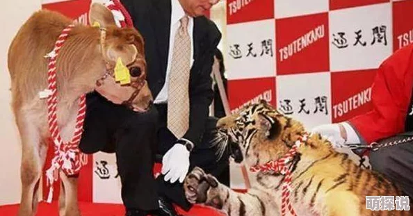 日本zozo人禽另类交近日推出全新互动体验区